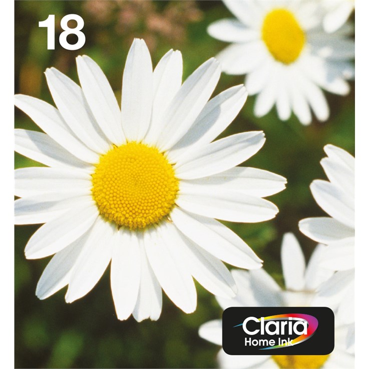 Epson Daisy Multipack 4-colours 18 EasyMail