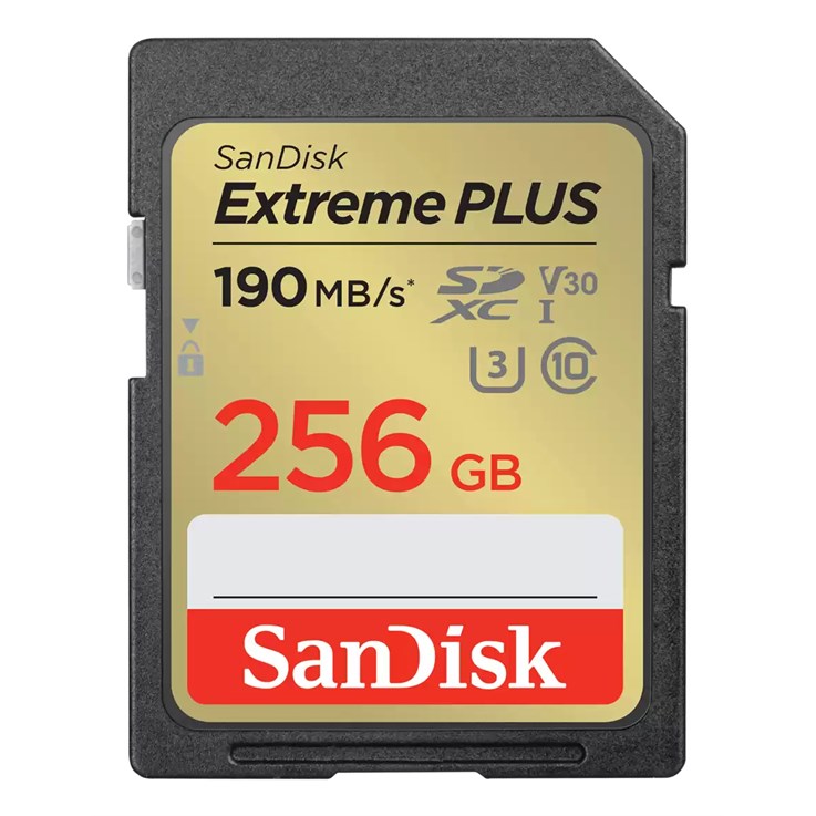 SanDisk SDSDXW2-256G-GNCIN 64 GB SDXC Class 10