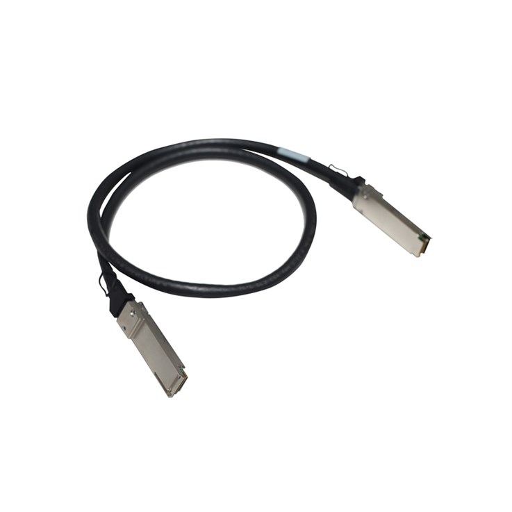 HPE Aruba Networking R0Z25A InfiniBand/fibre optic cable 1 m QSFP28 Black