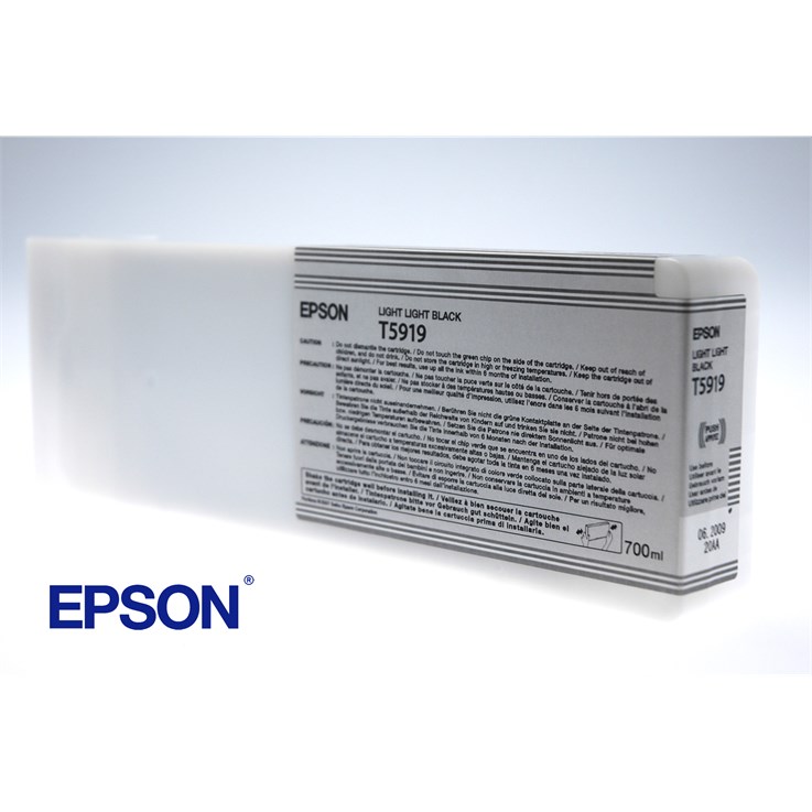 Epson Singlepack Light Light Black T591900