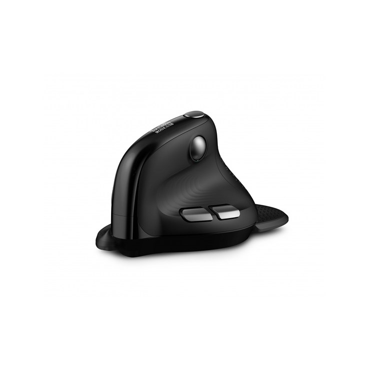 Urban Factory ERGO Max mouse Right-hand RF Wireless + Bluetooth 4000 DPI